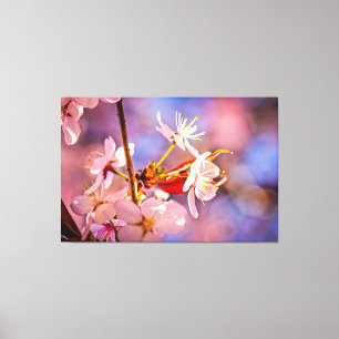 Toile Fleurs sakura gaies