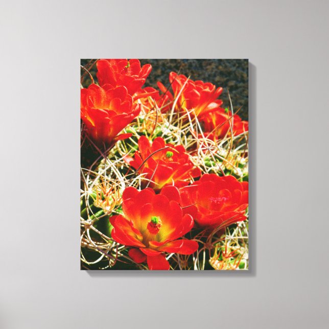 Toile Fleurs sauvages de cactus Coupe Claret (Recto)