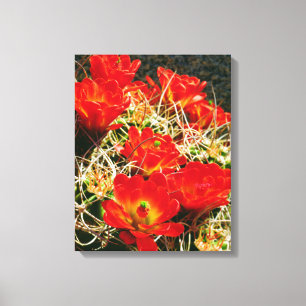 Toile Fleurs sauvages de cactus Coupe Claret