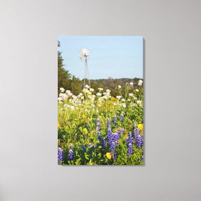Toile Fleurs sauvages et moulin à vent dans Texas Hill C (Recto)