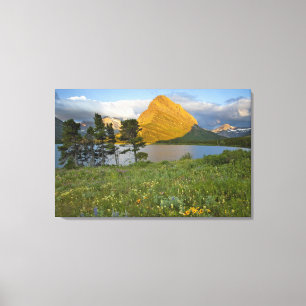 Toile Fleurs sauvages le long du lac Swiftcurrent dans l