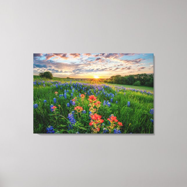 Toile Fleurs | Texas Bluebonnets & Indian Paintbrush (Recto)