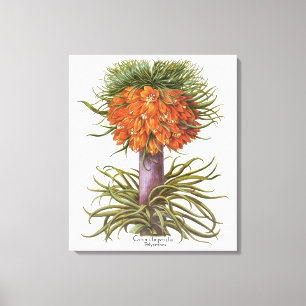 Toile Fleurs vintages de Fritillaria par Basilius Besler