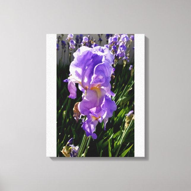 Toile Fleurs Violettes (Recto)