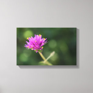 Toile Fleurs violettes Été Nature Photographie Florale