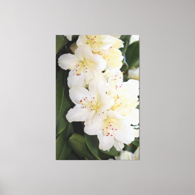 Toile Floral blanc crémeux (Recto)