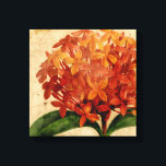 Toile Floral III<br><div class="desc">Floral</div>