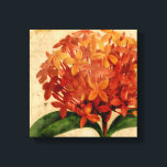 Toile Floral III<br><div class="desc">Floral</div>