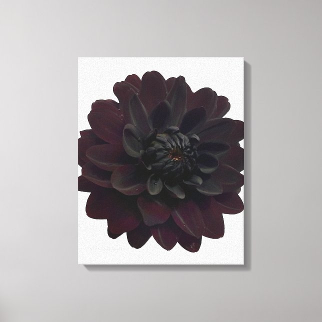 Toile Floral moderne Fleur noire Dahlia (Recto)
