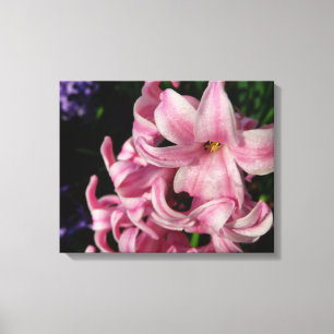 Toile Floral Pink Hyacinth