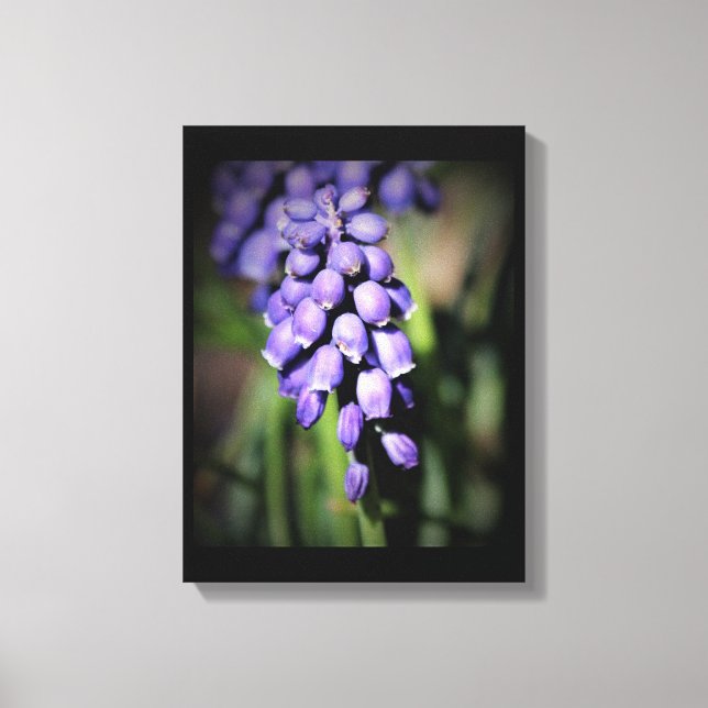 Toile florale Hyacinth Graphe Imprimer (Recto)