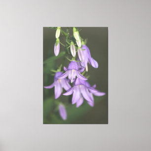 Toile florale pourpre