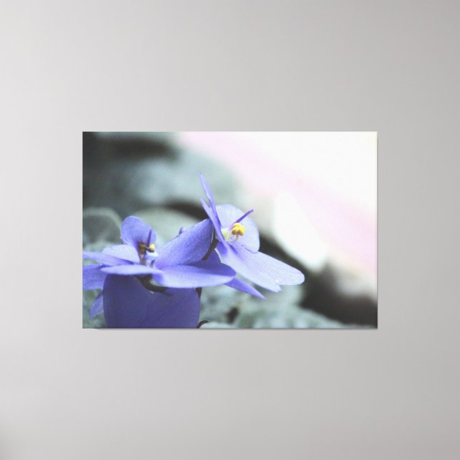 Toile Florale violette (Recto)