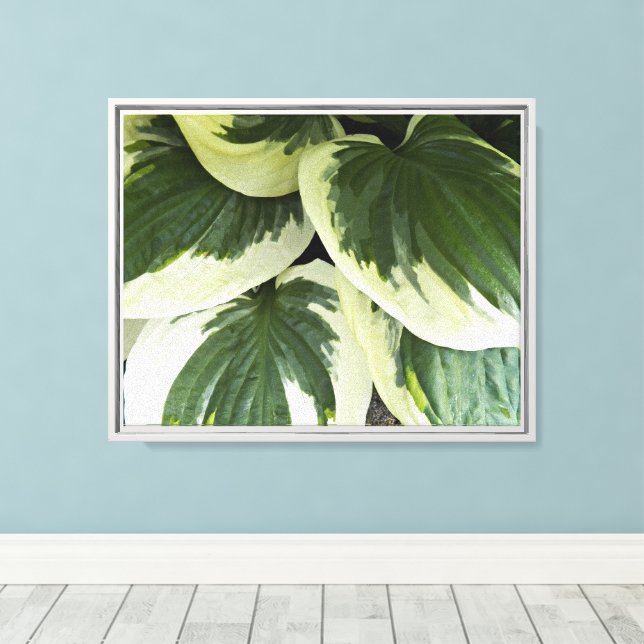Toile Flore Plante Hosta varié (Insitu (Plancher de Bois))