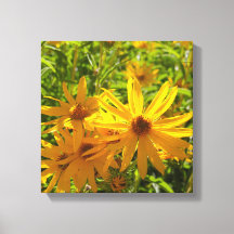 Flores en mi hierbas " fleurs dans mes mauvaises h