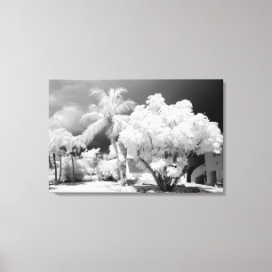 Toile Florida Keys house et ses palmiers, USA. 2