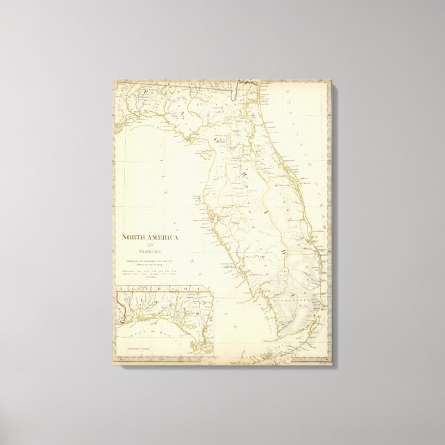 Toile Floride 11 (Recto)