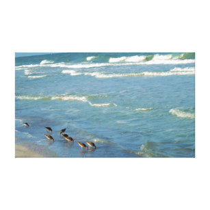 Toile Floride moderne Shorebirds Ocean Photo