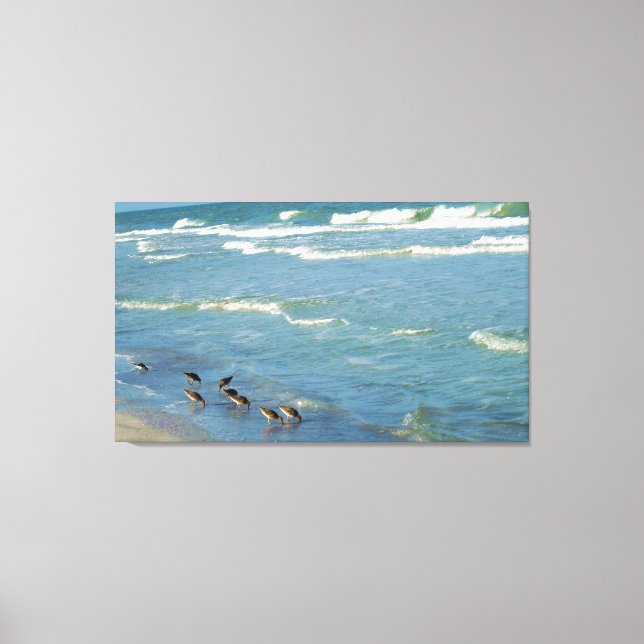 Toile Floride moderne Shorebirds Ocean Photo (Recto)