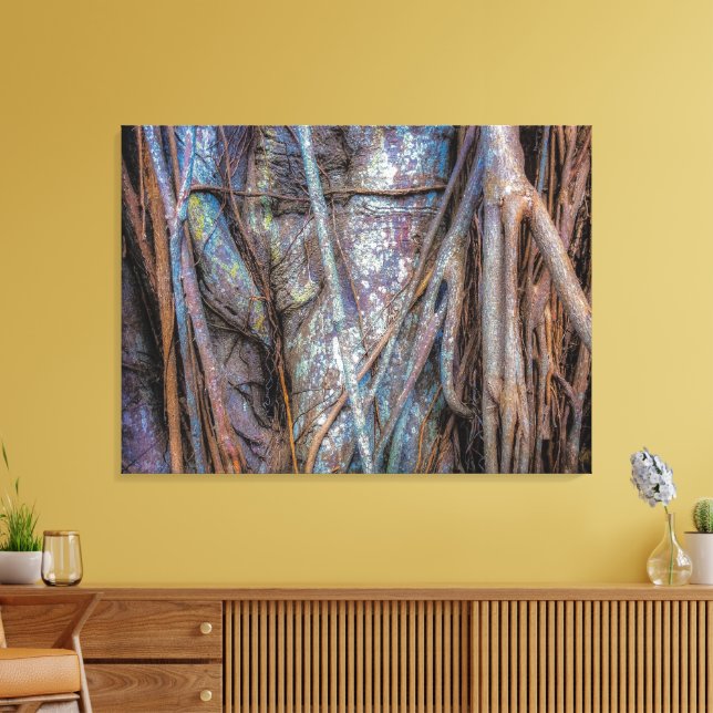 Toile Floride Strangler Fig (Insitu(Salon))