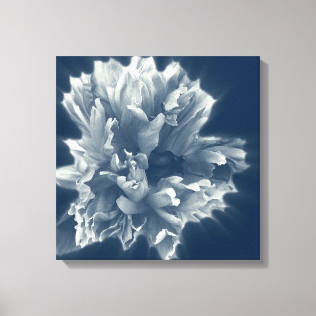 Toile flower in (Recto)