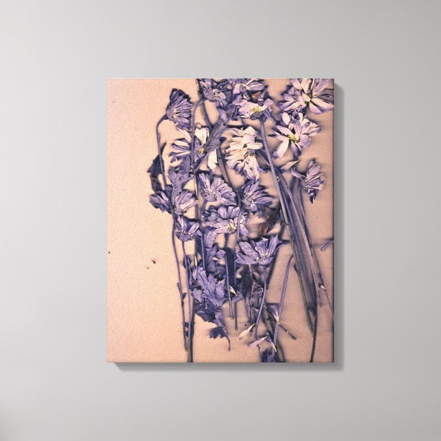 Toile Flowers in a pink light (Recto)