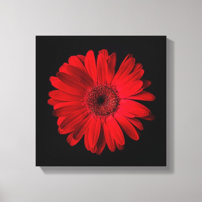 Toile Flowers | Red Gerbera Daisy (Recto)