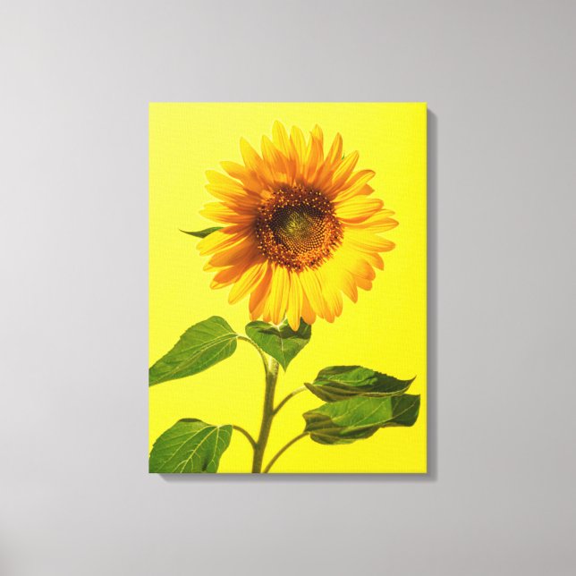 Toile Flowers | Sunflower on Yellow (Recto)