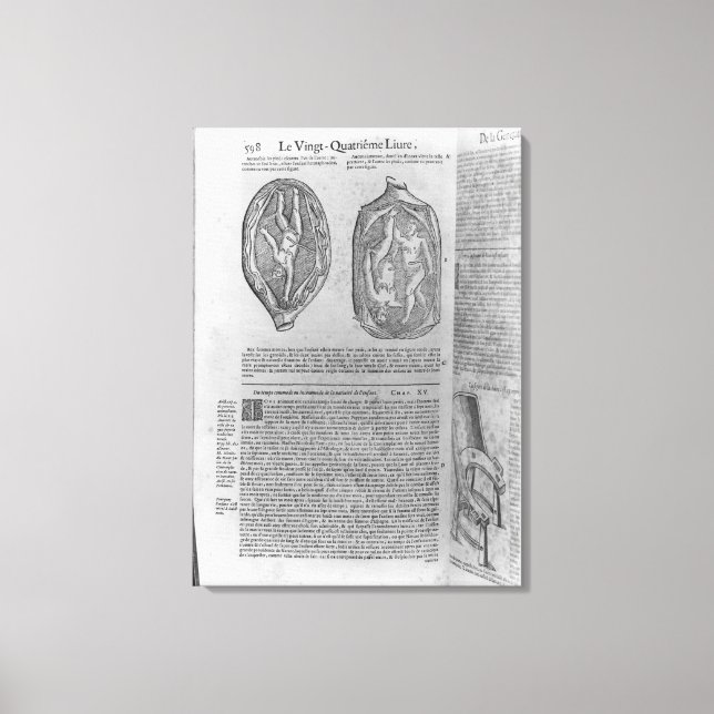 Toile Foetus, illustration de 'Oeuvres' (Recto)