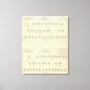 Toile Folie, lithographie statistique des USA