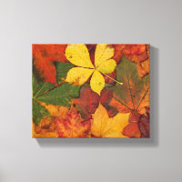 Folithe d'automne