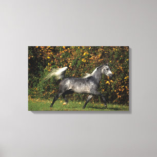 Toile Fonctionnement d'Arabes : Automne