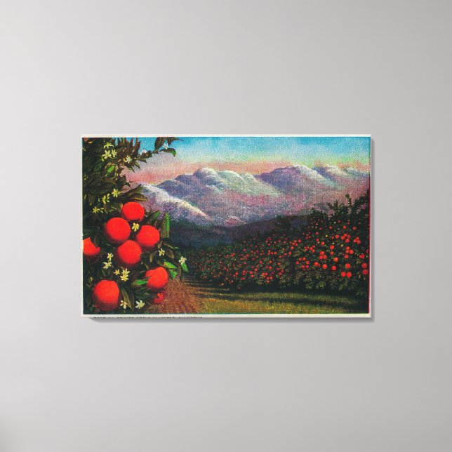 Toile Foothill Orange Grove in the WinterState (Recto)