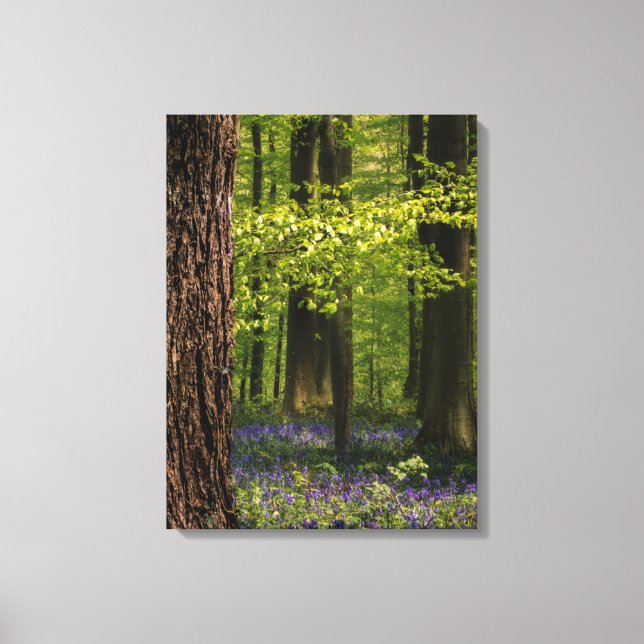 Toile Forest | Bluebells en Belgique (Recto)