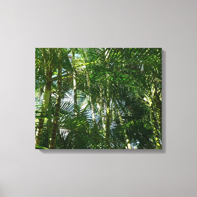 Toile Forest of Palm Trees Tropical Nature (Recto)
