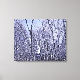 Toile Forêt au crépuscule
