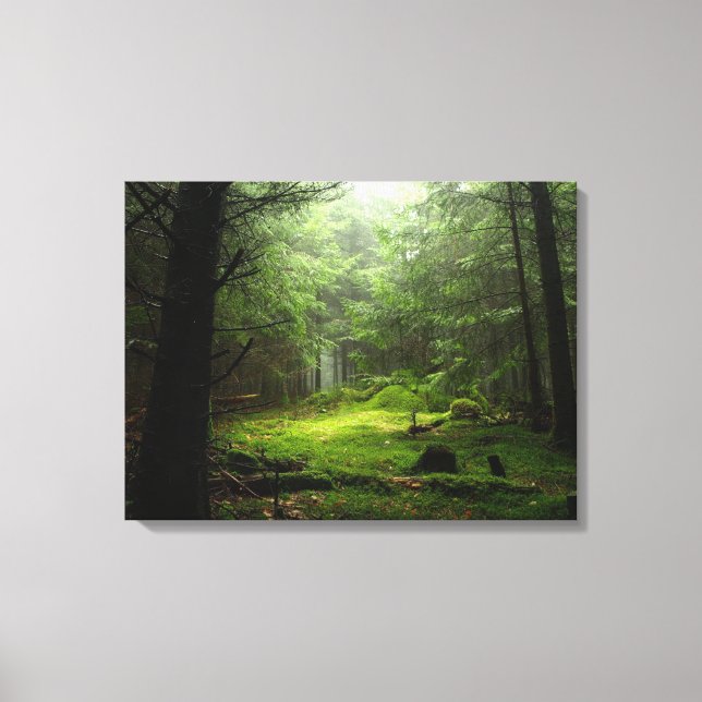 Toile Forêt | Auvergne France (Recto)