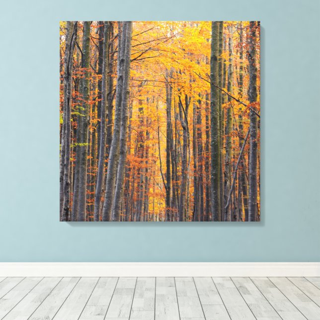 Toile Forêt d'automne dorée époustouflante (Insitu (Plancher de Bois))