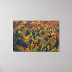 Toile Forêt d'automne étonnante
