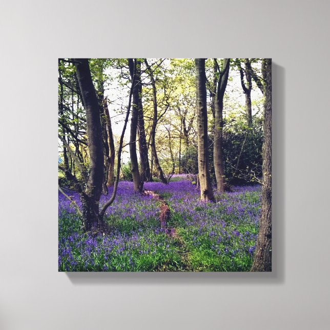 Toile Forêt de Bluebells Floral moderne élégant (Recto)