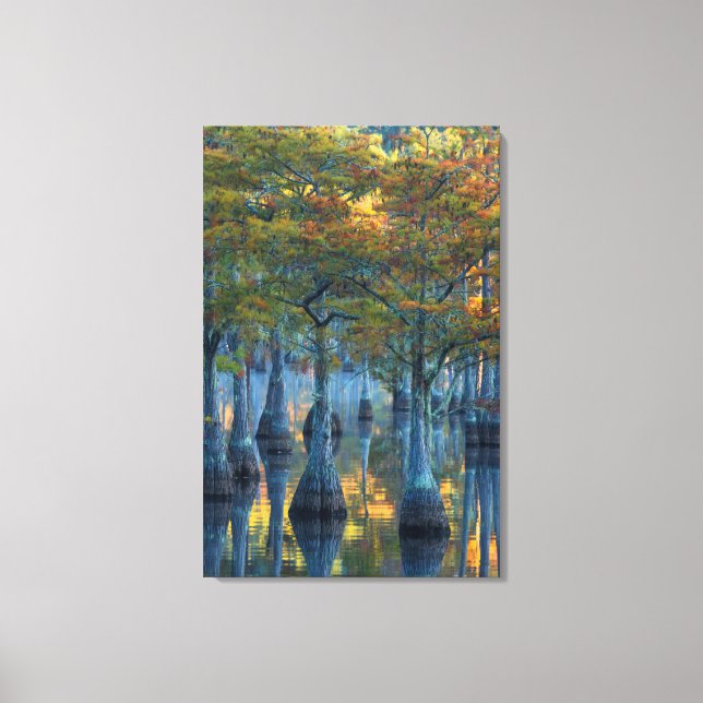 Toile Forêt de cyprès de bassin (Recto)