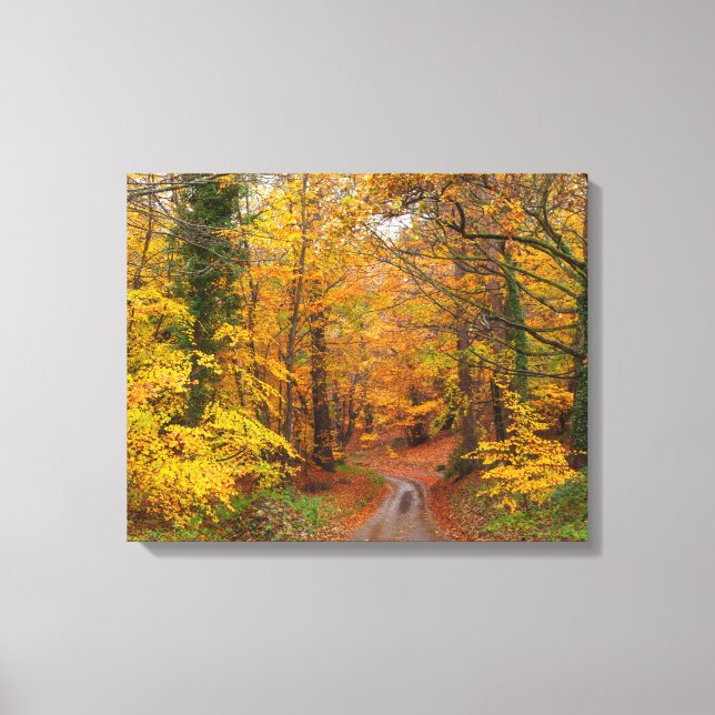 Toile Forêt de l'automne avec chemin (Recto)