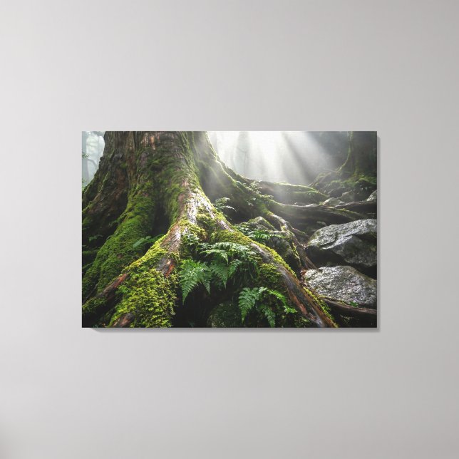 Toile Forêt de mousse de Yakushima 'Souffle de vie' | Bi (Recto)