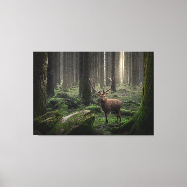 Toile Forêt d'Imaginaire éthéré avec lumière radiante (Recto)