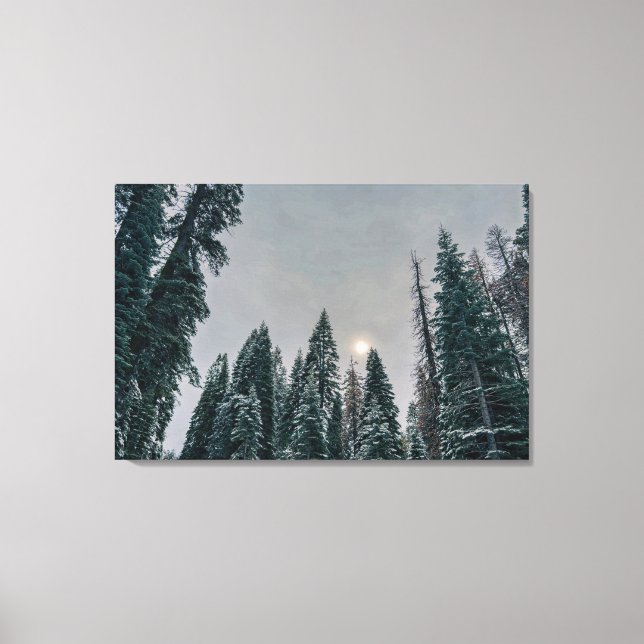 Toile Forêt enneigée avec soleil (Recto)