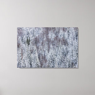 Toile Forêt enneigée, Parc national du mont Rainier