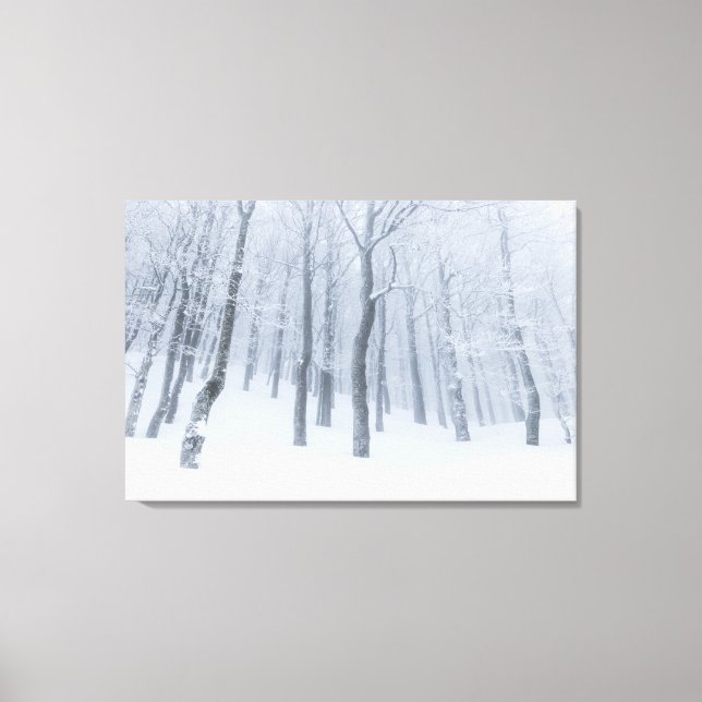 Toile Forêt gelée couverte de neige en hiver (Recto)