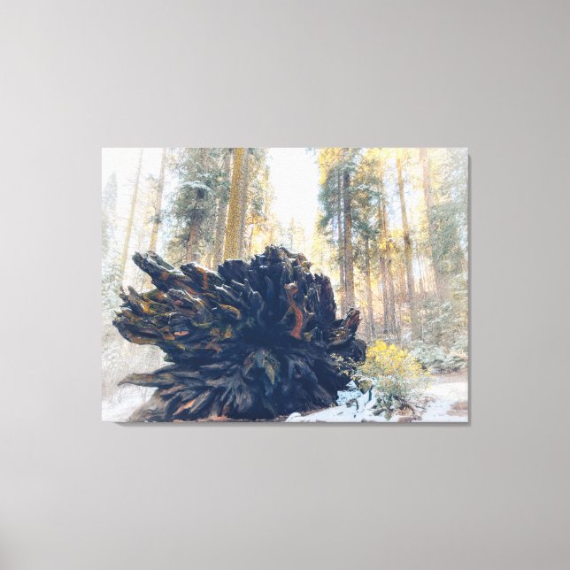 Toile Forêt hivernale avec racine de séquoia abattu (Recto)