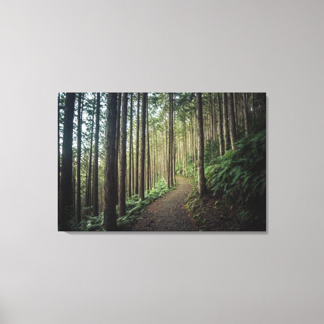 Toile Forêt | Montagnes de Wakayama Japon (Recto)