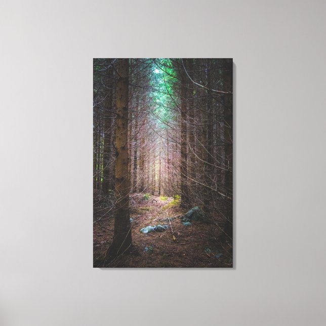 Toile Forêt mystérieuse d'épinette (Recto)